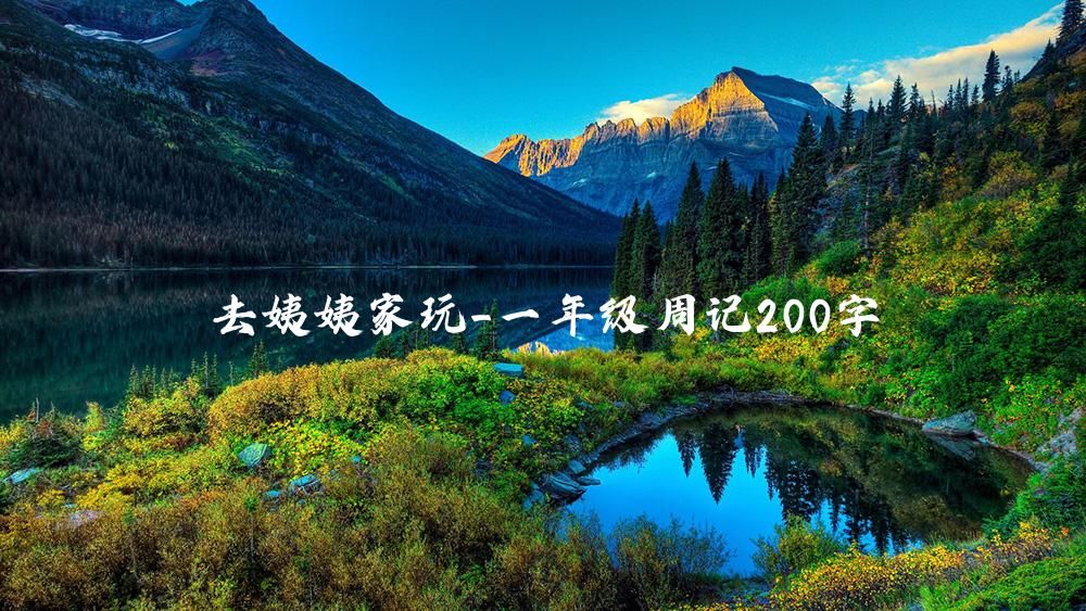 去姨姨家玩_一年级周记200字