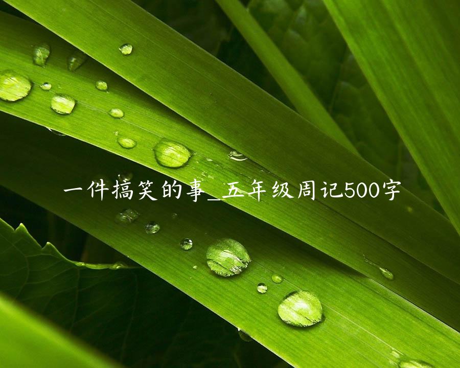 一件搞笑的事_五年级周记500字