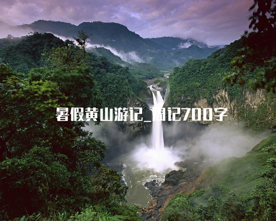 暑假黄山游记_周记700字