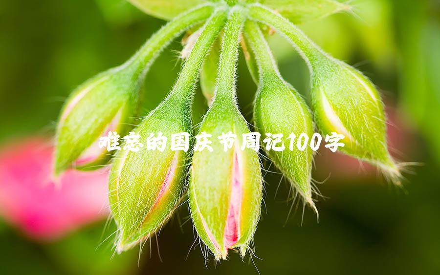 难忘的国庆节周记100字