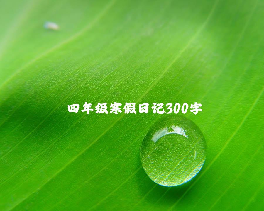 四年级寒假日记300字