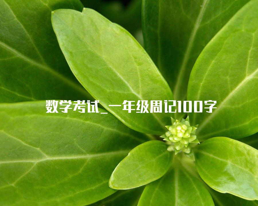 数学考试_一年级周记100字