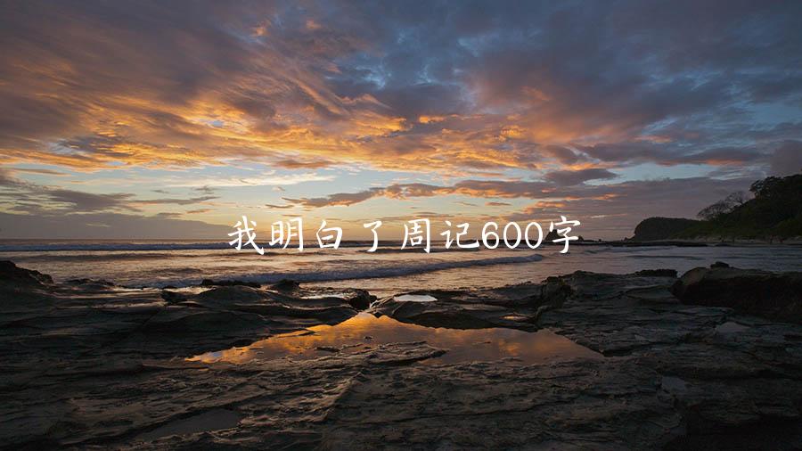 我明白了周记600字