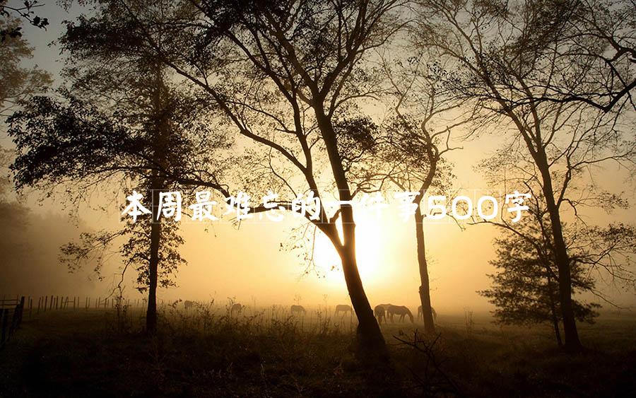 本周最难忘的一件事500字