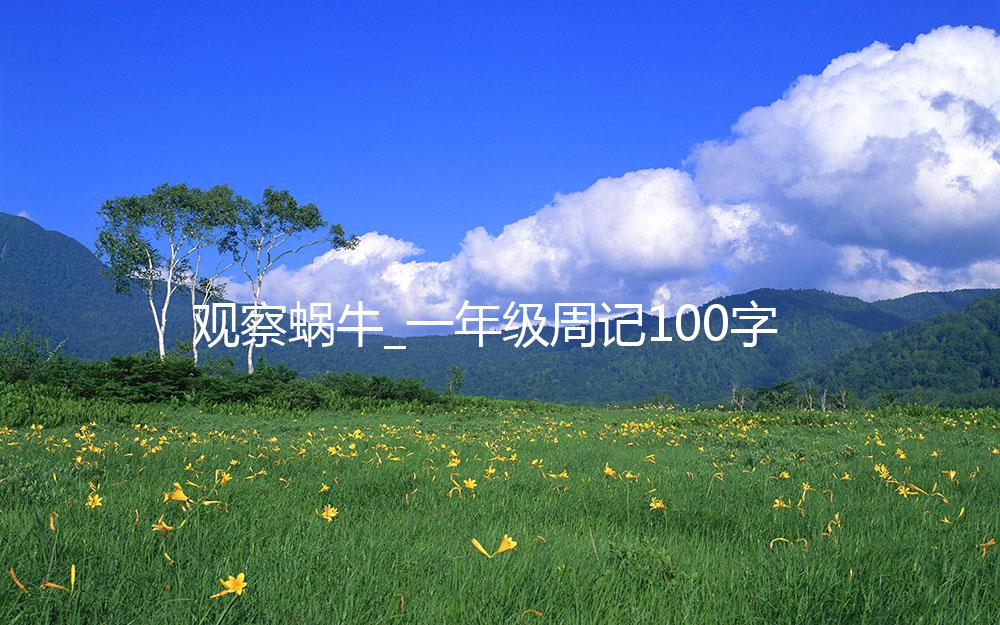 观察蜗牛_一年级周记100字