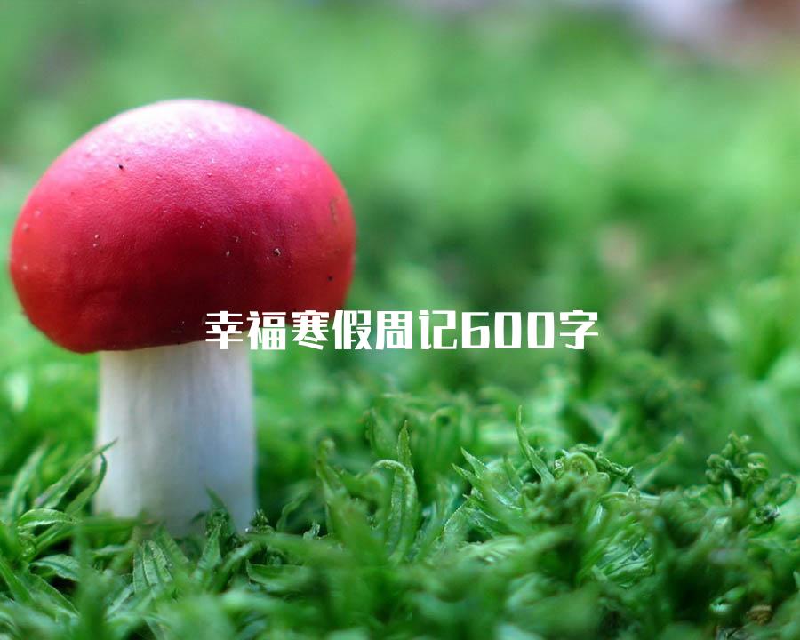 幸福寒假周记600字