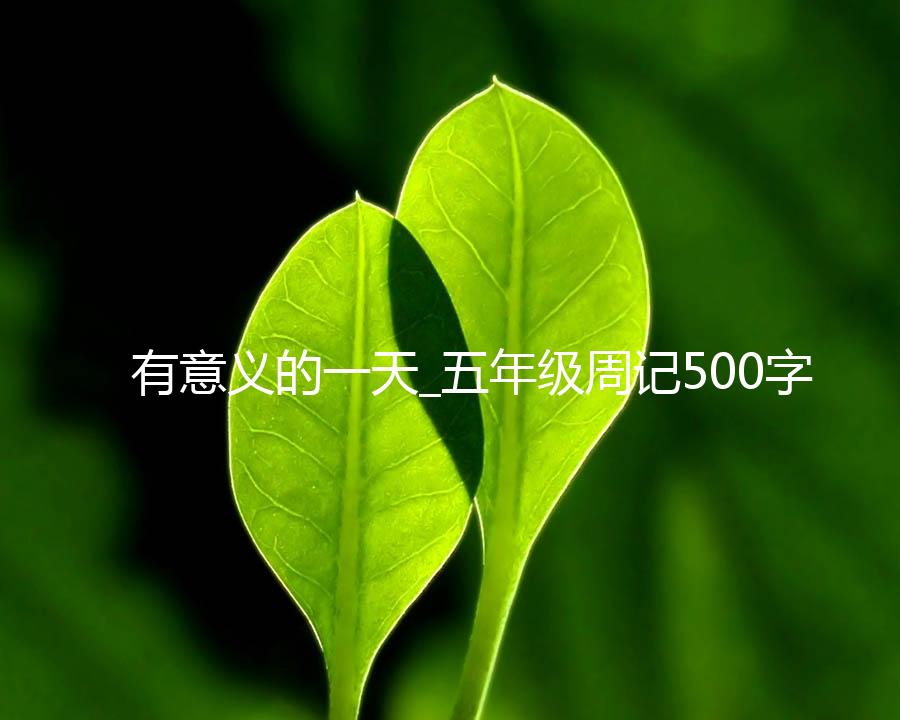 有意义的一天_五年级周记500字