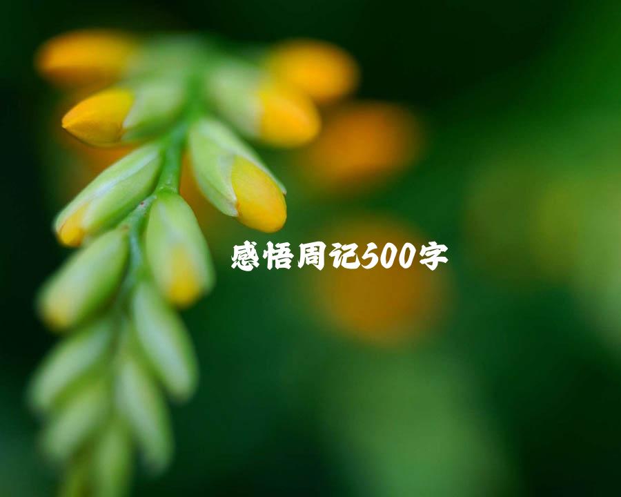 感悟周记500字