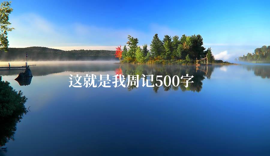 这就是我周记500字