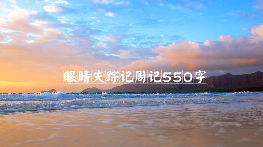 眼睛失踪记周记550字