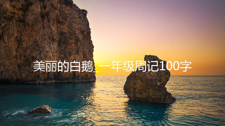 美丽的白鹅_一年级周记100字