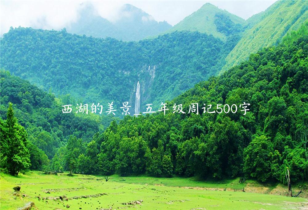 西湖的美景_五年级周记500字