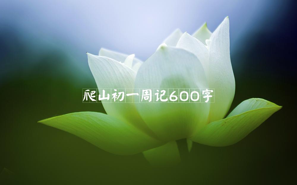 爬山初一周记600字