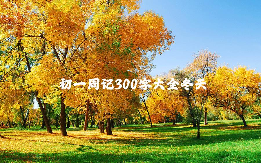 初一周记300字大全冬天