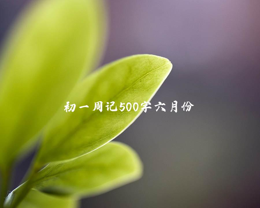 初一周记500字六月份