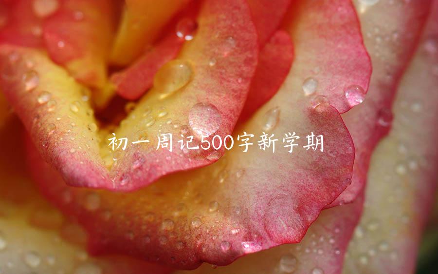 初一周记500字新学期