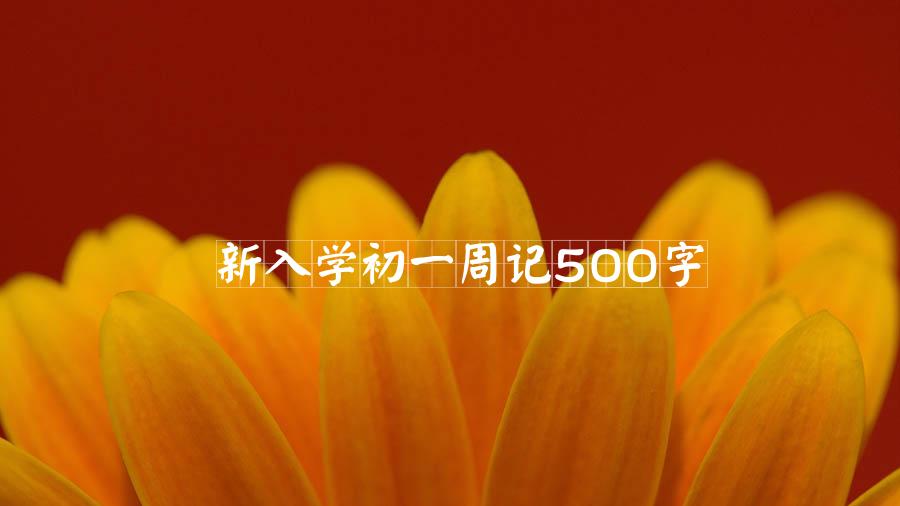 新入学初一周记500字