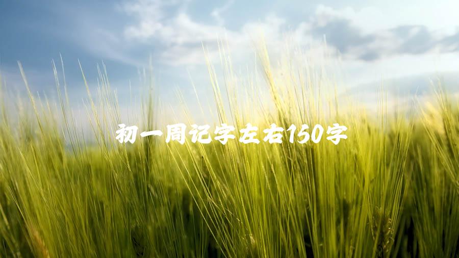 初一周记字左右150字