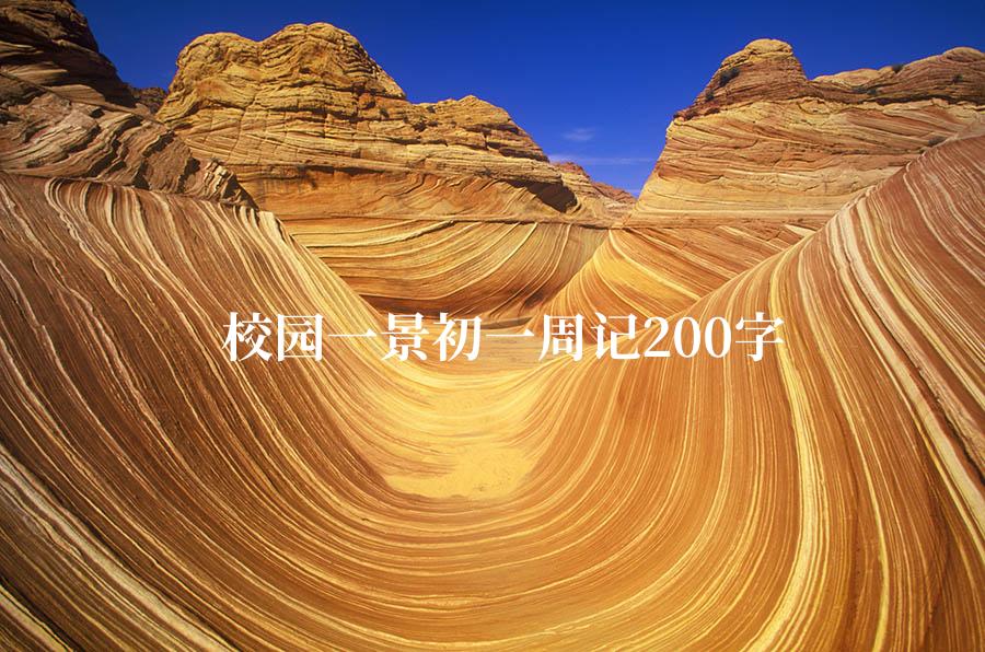 校园一景初一周记200字