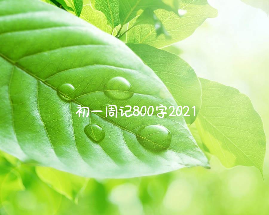 初一周记800字2021