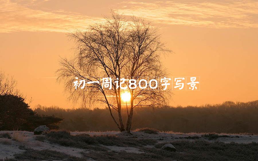 初一周记800字写景