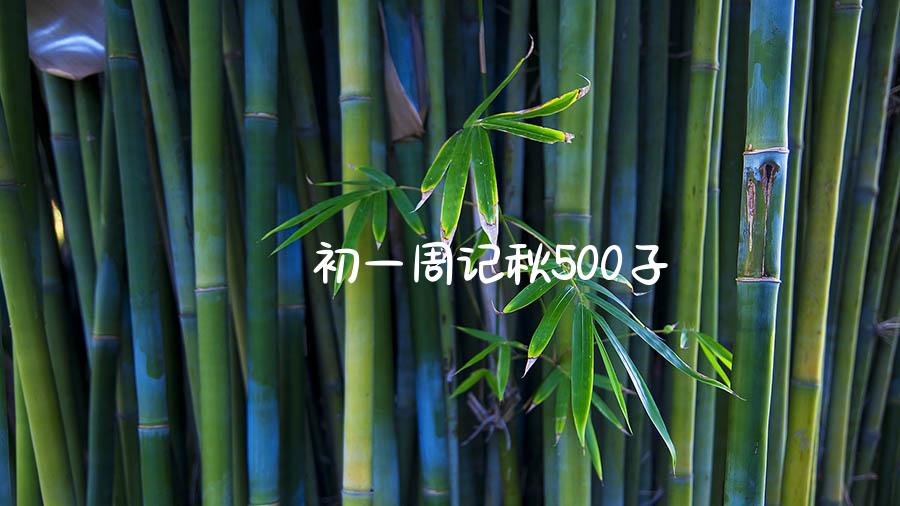 初一周记秋500子