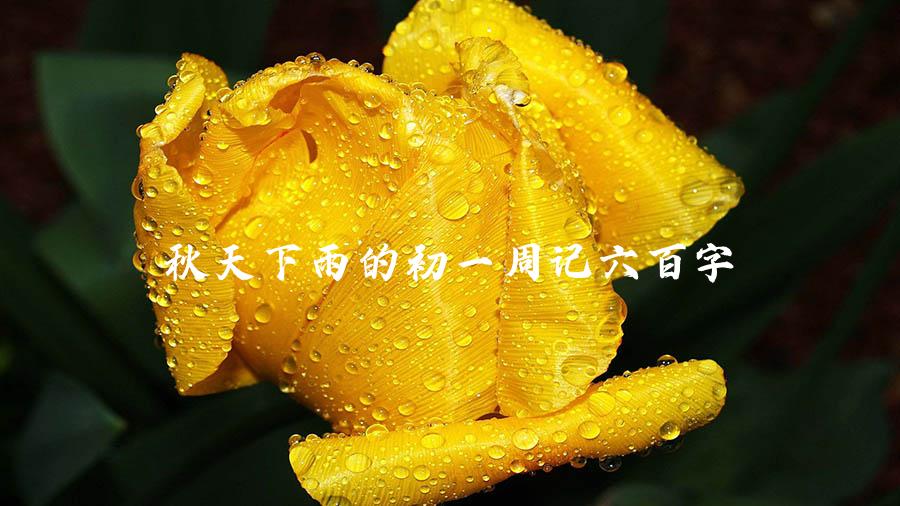 秋天下雨的初一周记六百字