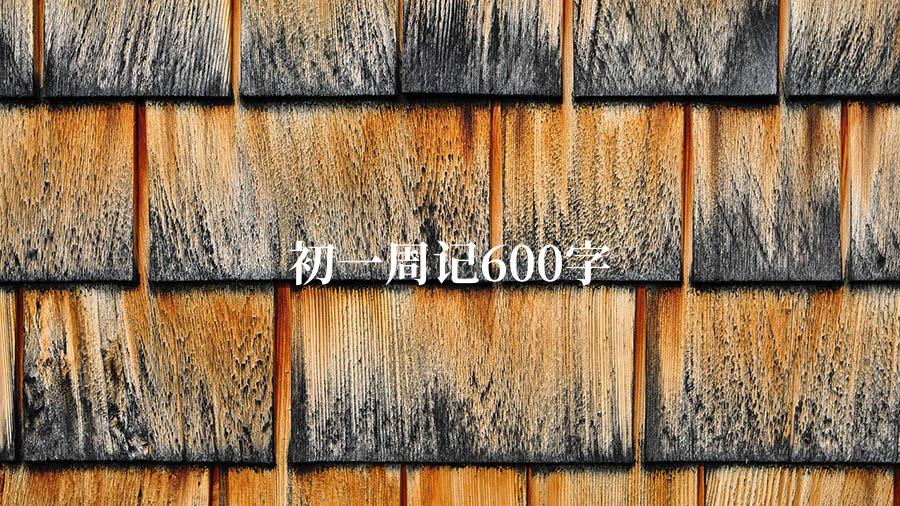 初一周记600字