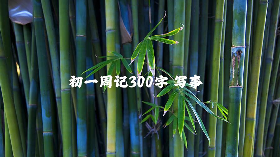 初一周记300字 写事