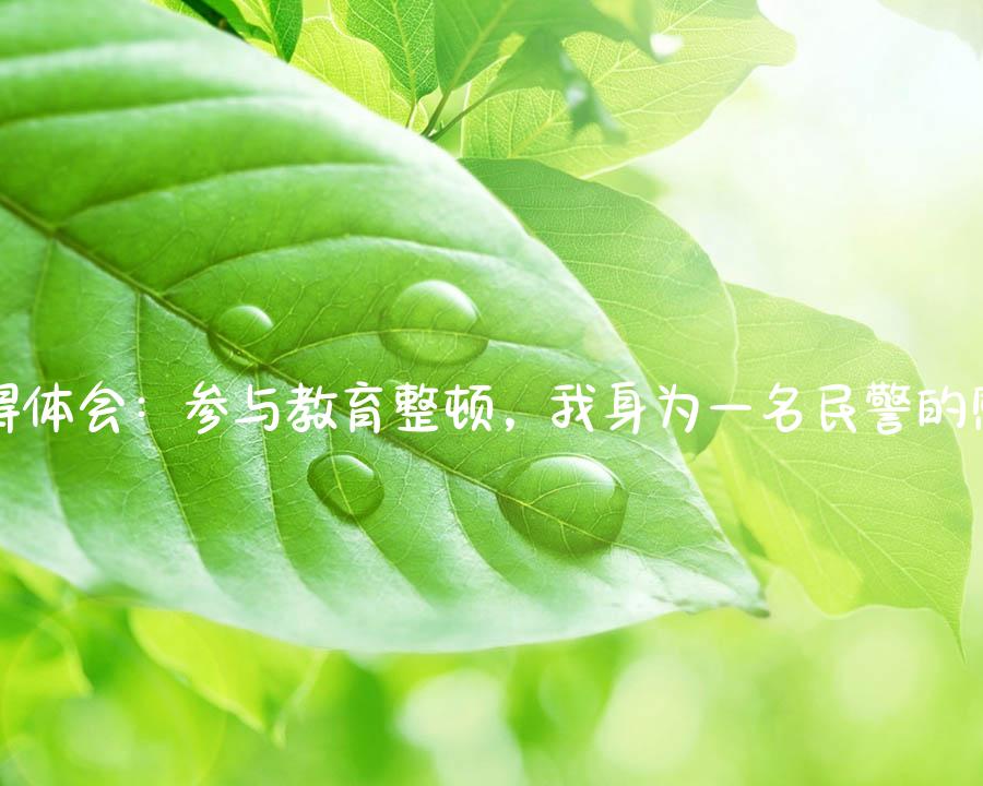 心得体会：参与教育整顿，我身为一名民警的感悟