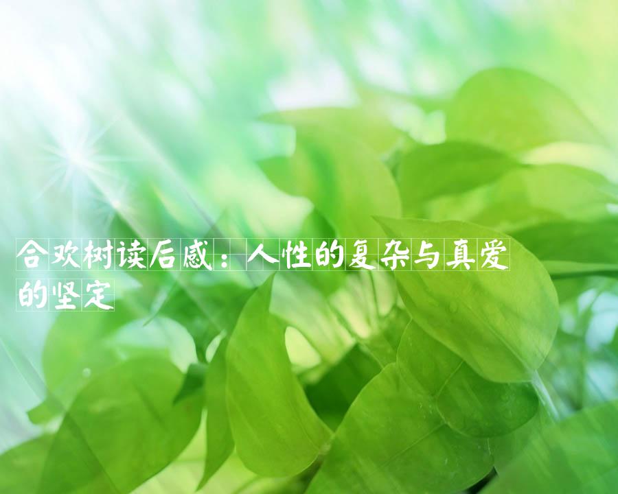 合欢树读后感：人性的复杂与真爱的坚定