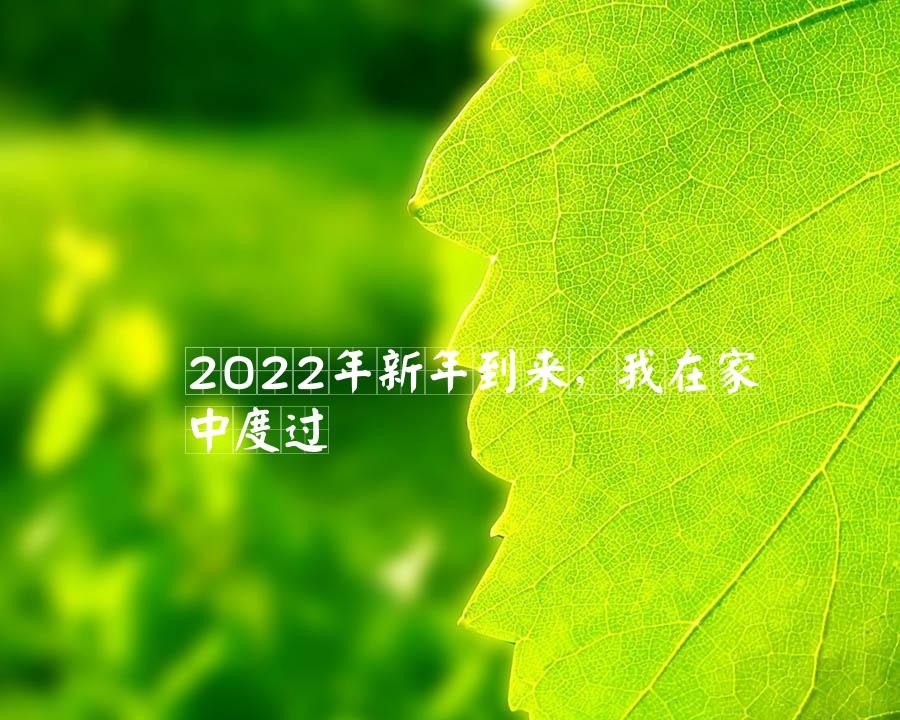 2022年新年到来，我在家中度过