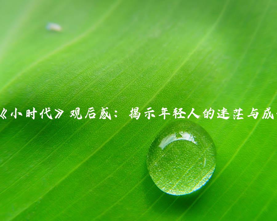 《小时代》观后感：揭示年轻人的迷茫与成长