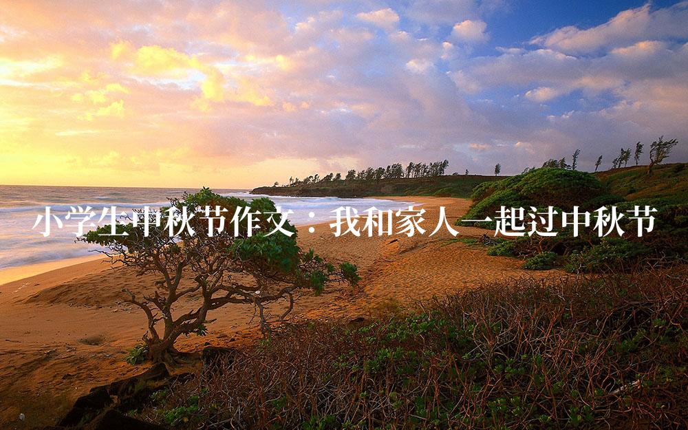 小学生中秋节作文：我和家人一起过中秋节