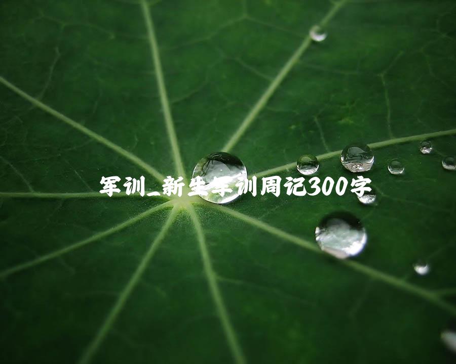 军训_新生军训周记300字