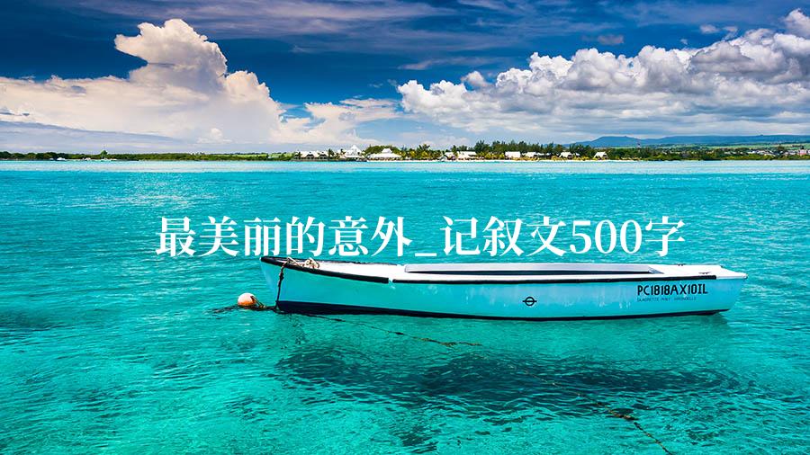 最美丽的意外_记叙文500字