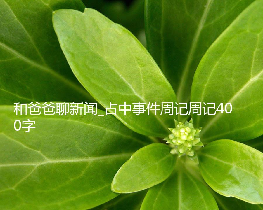 和爸爸聊新闻_占中事件周记周记400字