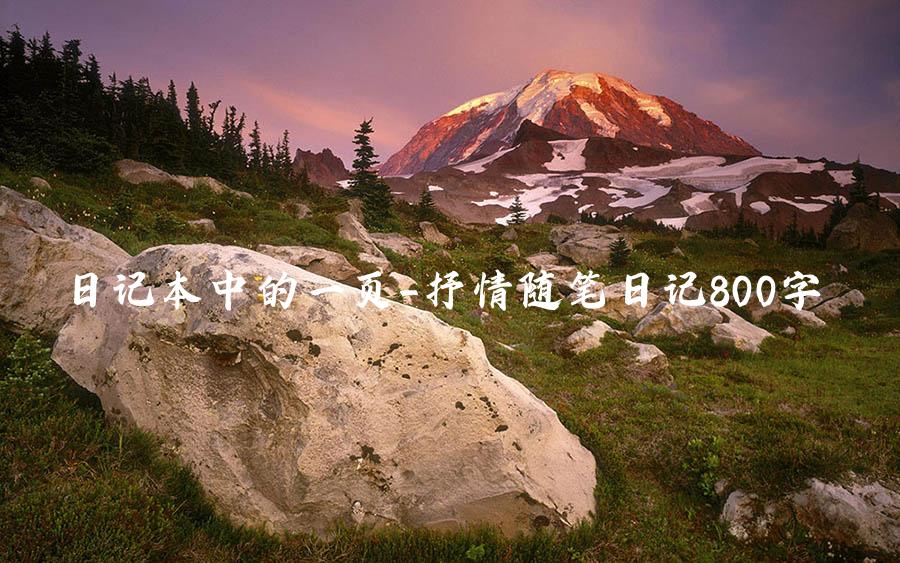 日记本中的一页_抒情随笔日记800字