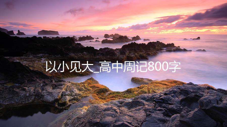 以小见大_高中周记800字