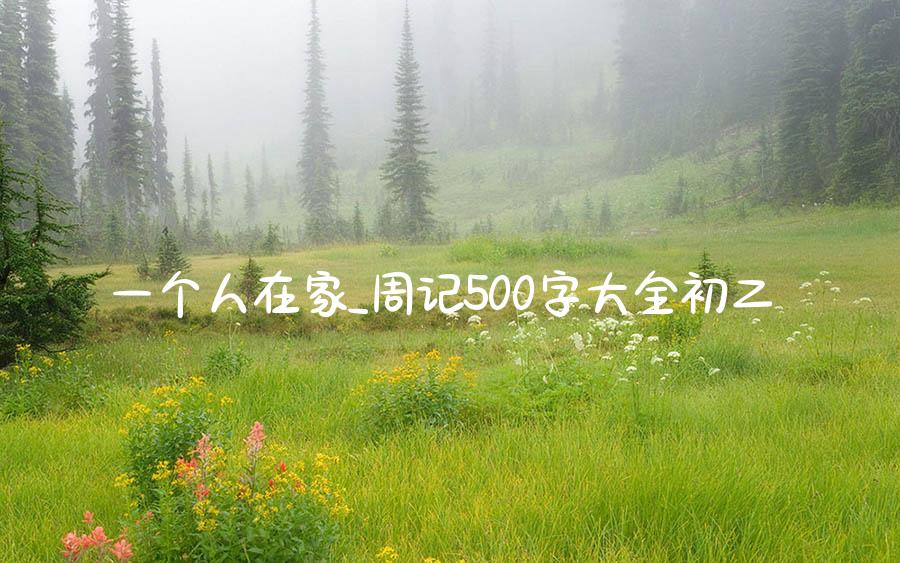 一个人在家_周记500字大全初二