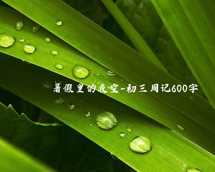 暑假里的夜空_初三周记600字