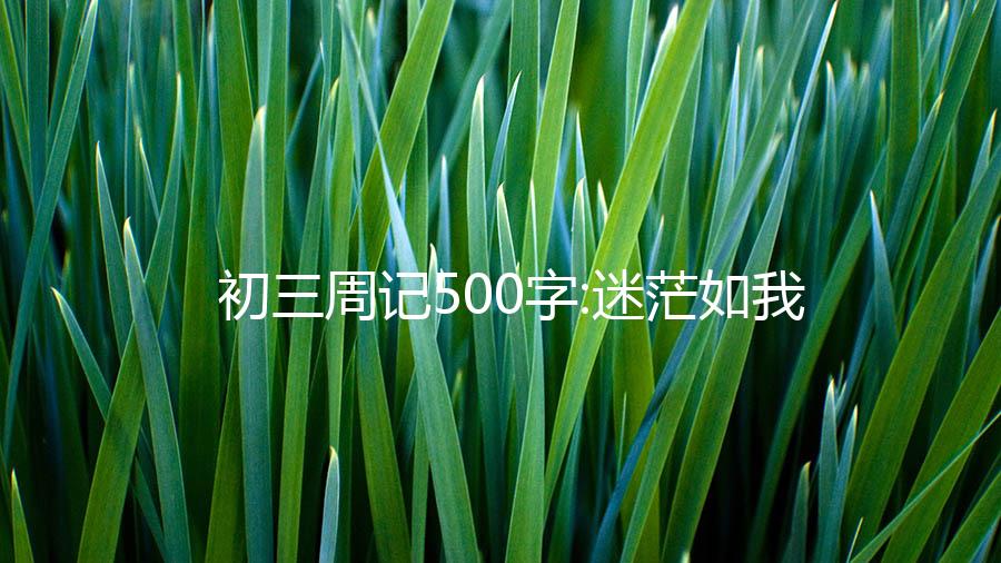 初三周记500字:迷茫如我