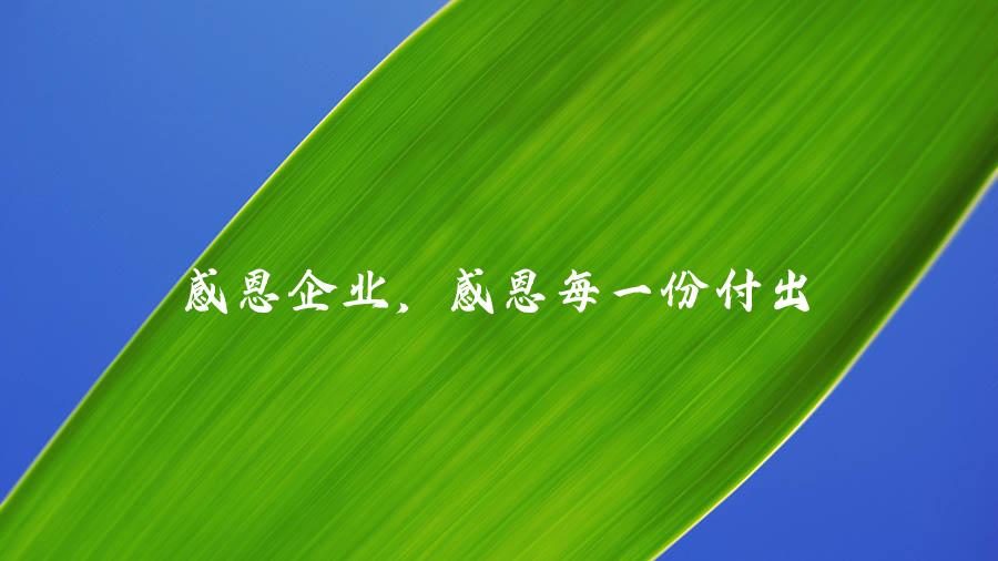 感恩企业，感恩每一份付出