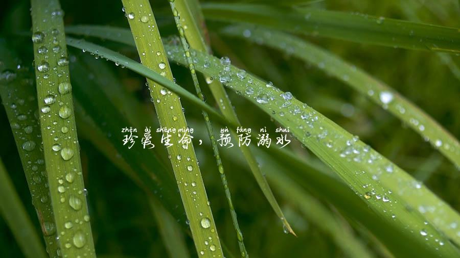 珍爱生命，预防溺水