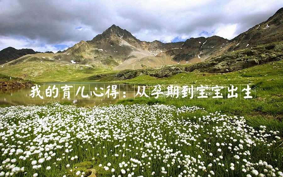 我的育儿心得：从孕期到宝宝出生