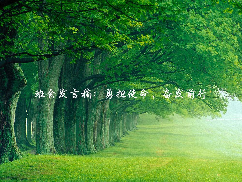 班会发言稿：勇担使命，奋发前行