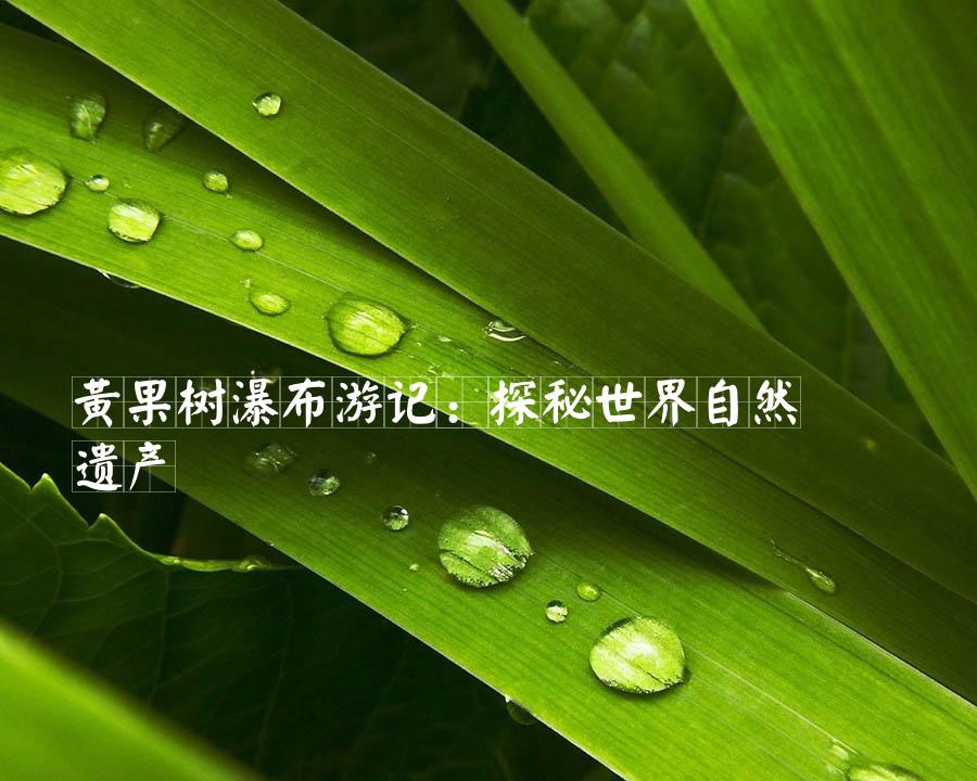 黄果树瀑布游记：探秘世界自然遗产