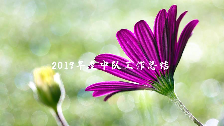 2019年度中队工作总结