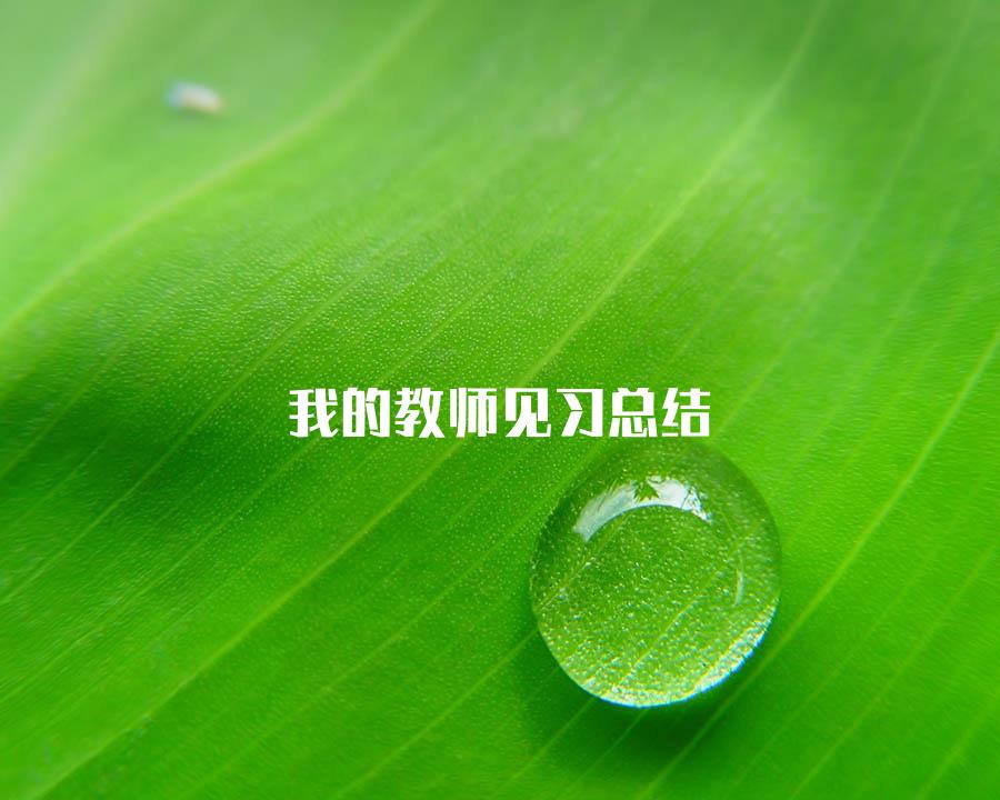 我的教师见习总结