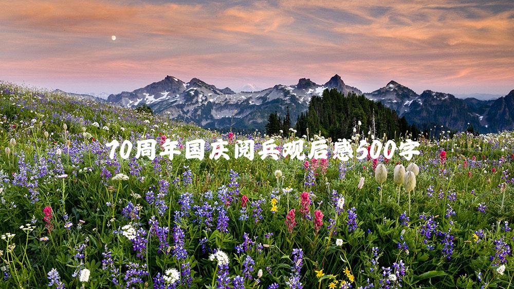 70周年国庆阅兵观后感500字